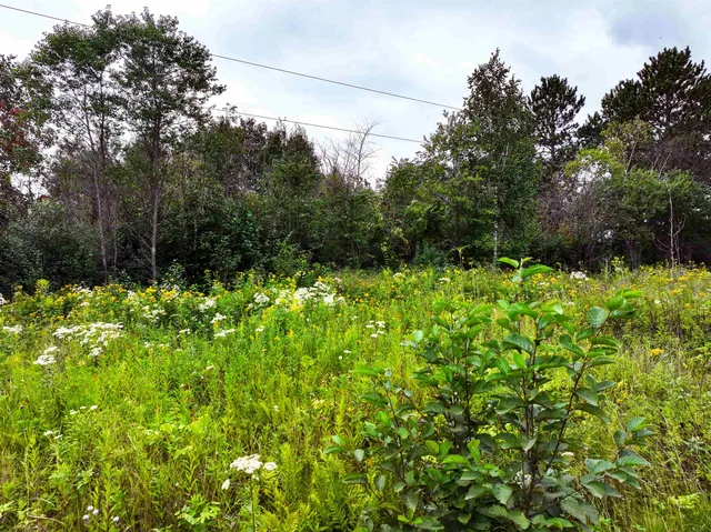 $49,900 | Xxxx Lindrose Road, Cloquet, MN 55720