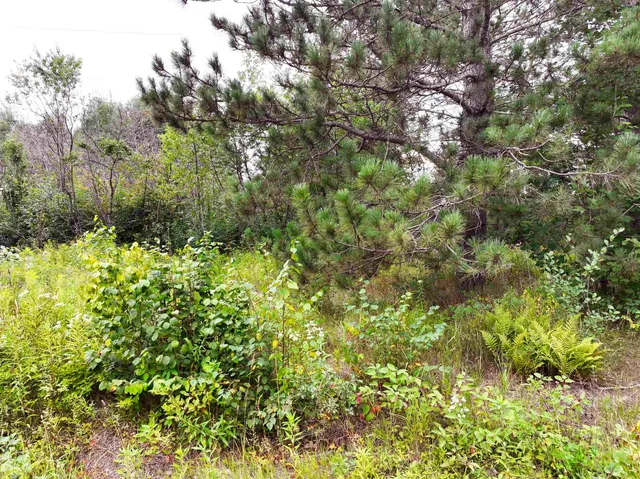 $49,900 | Xxxx Lindrose Road, Cloquet, MN 55720