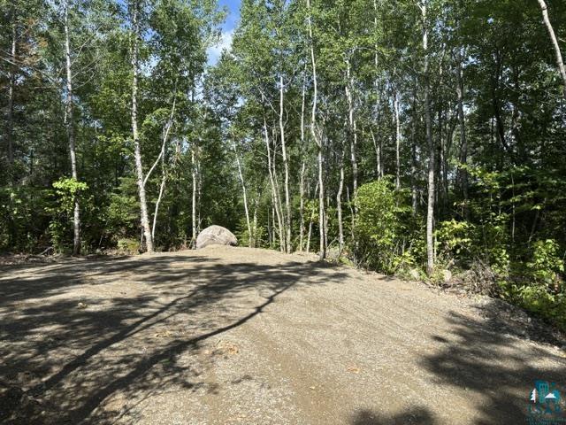 Tbd Tbd Powerhouse Trail Ely, MN 55731 - Photo 8 of 16