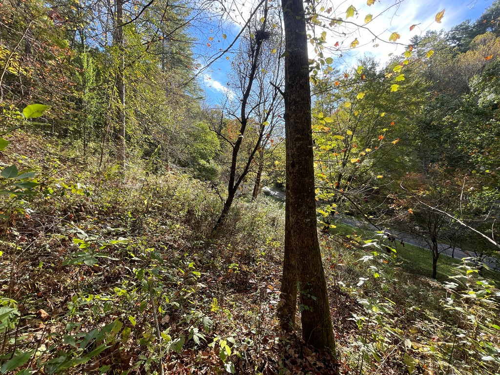 879 Dick Branch Road Robbinsville, NC 28771 - Photo 21 of 26 Gallery Image 21