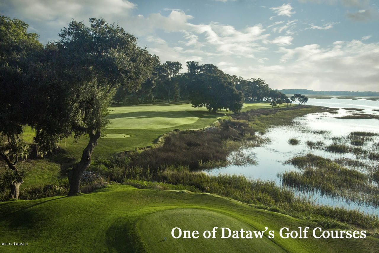 728 North Reeve Road St. Helena Island, SC 29920 - Photo 25 of 32 Dataw_Golf_view