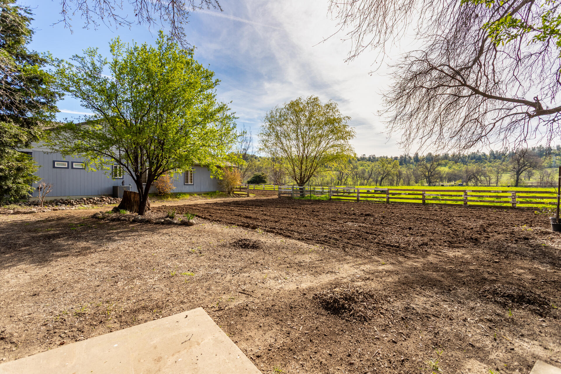 11847 Oak Run Road Oak Run, CA 96069 - Photo 36 of 54 a view of a field with trees
