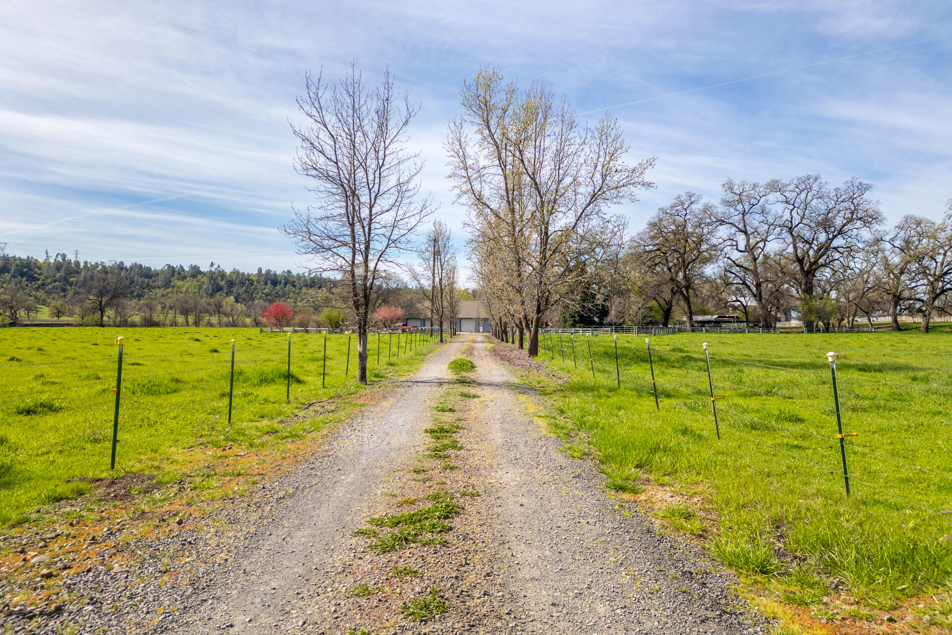 11847 Oak Run Road Oak Run, CA 96069 - Photo 38 of 54 a view of a park with large trees