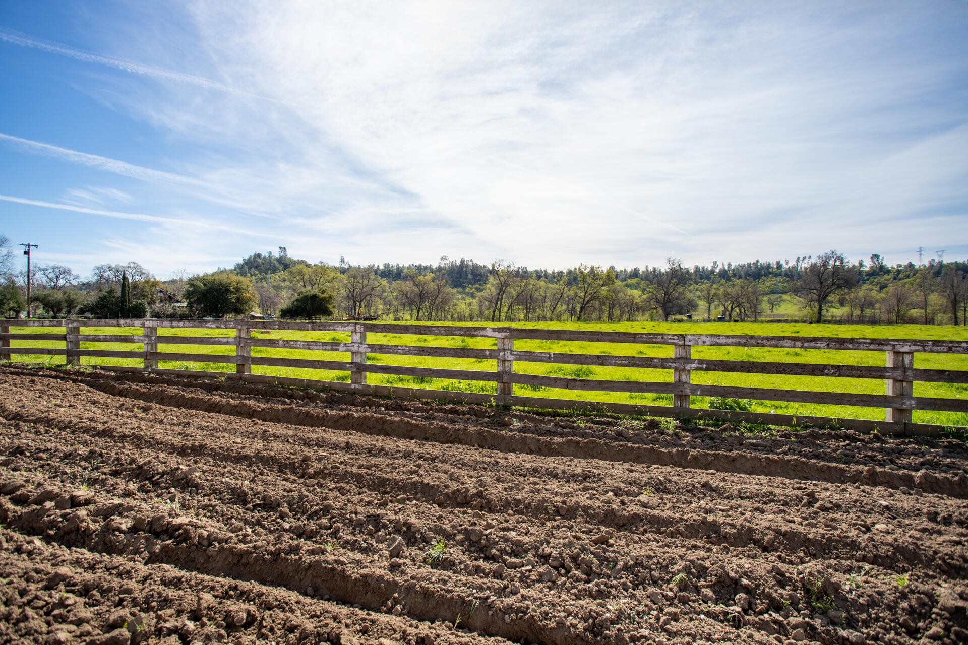 11847 Oak Run Road Oak Run, CA 96069 - Photo 40 of 54 a view of a park