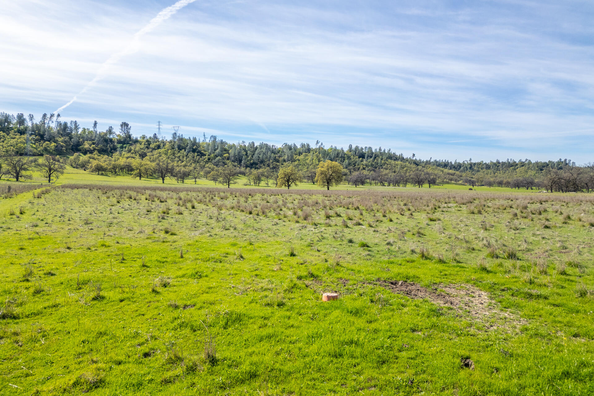 11847 Oak Run Road Oak Run, CA 96069 - Photo 43 of 54 a view of a green field with an ocean