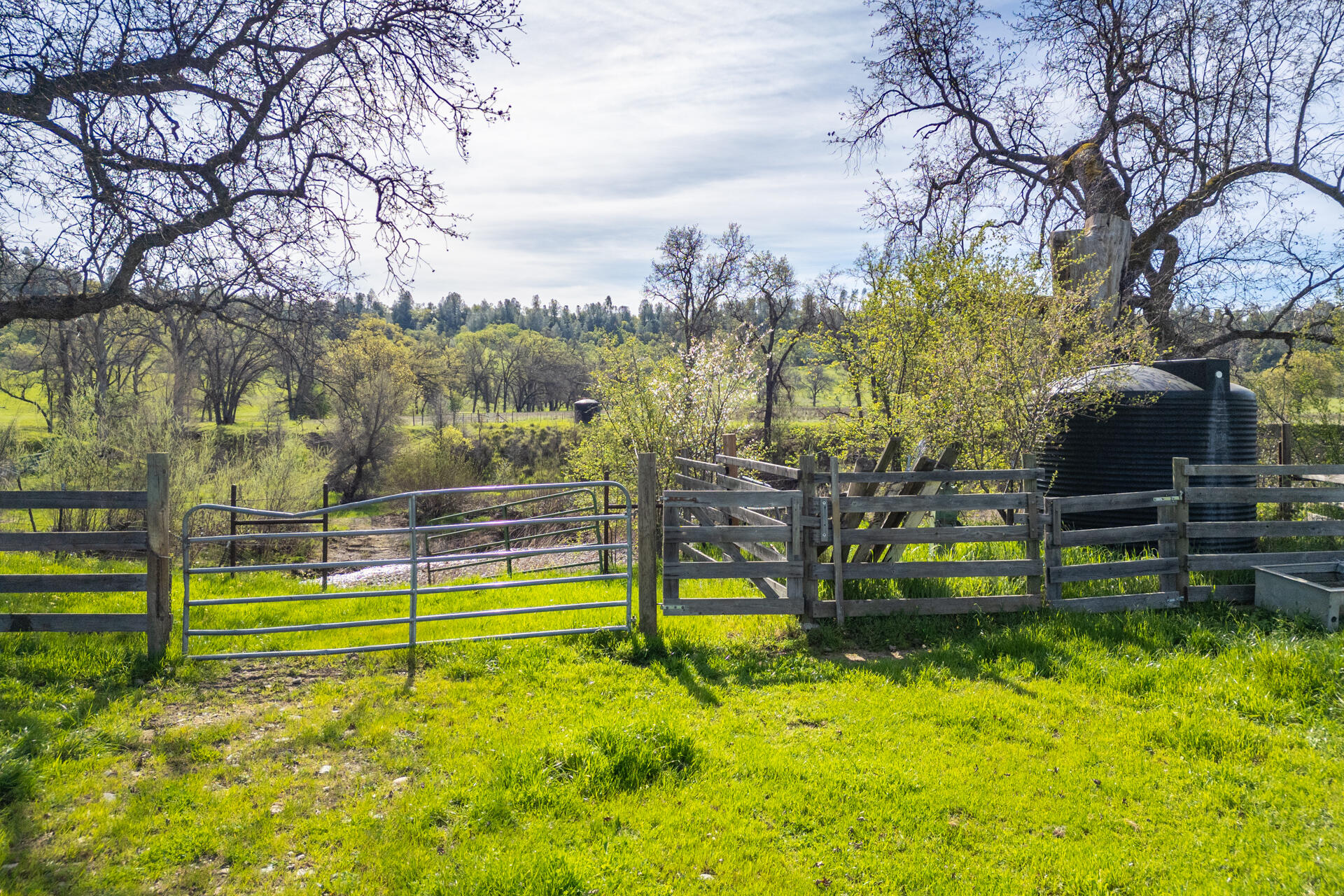 11847 Oak Run Road Oak Run, CA 96069 - Photo 47 of 54 a view of a park with large trees