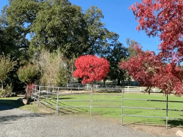 11847 Oak Run Road Oak Run, CA 96069 - Photo 6 of 54 a view of a park