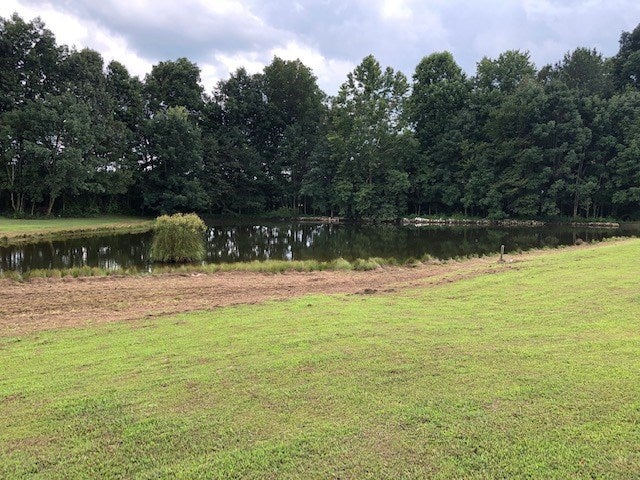 229 Poplar Grove Road Summer Shade, KY 42166 - Photo 18 of 21 Gallery Image 18