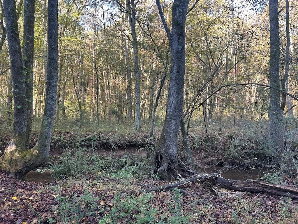 0 Old Columbus Road Bowdon, GA 30108 - Photo 20 of 26