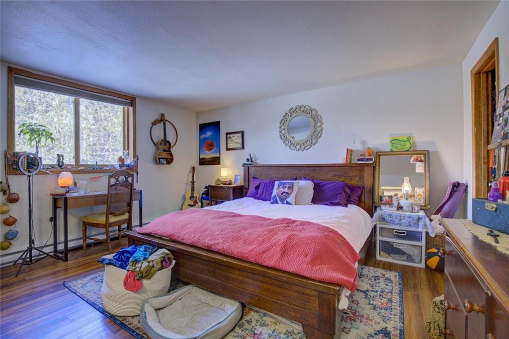 1301 Baldy Road Breckenridge, CO 80424 - Photo 23 of 31 Gallery Image 23