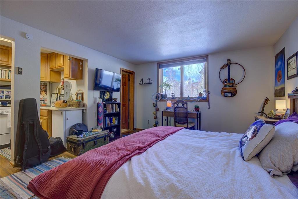 1301 Baldy Road Breckenridge, CO 80424 - Photo 26 of 31 Gallery Image 26