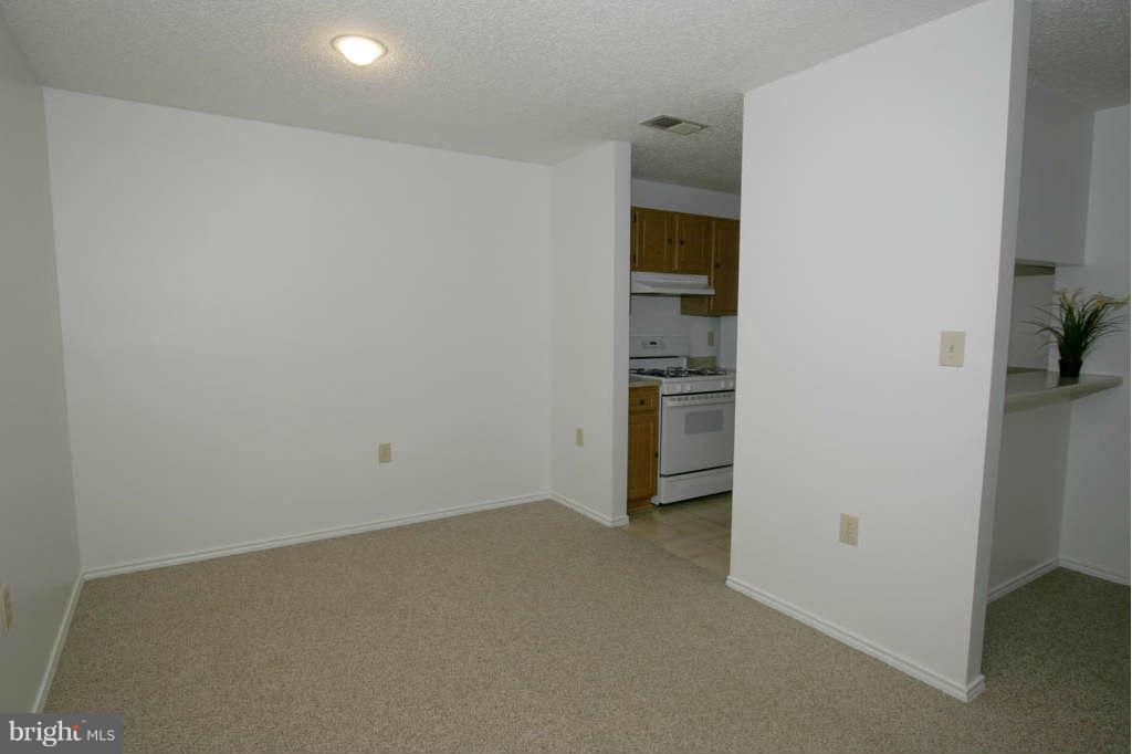 21013 Timber Ridge Terrace, Unit 203 Ashburn, VA 20147 - Photo 19 of 24 Dining Room