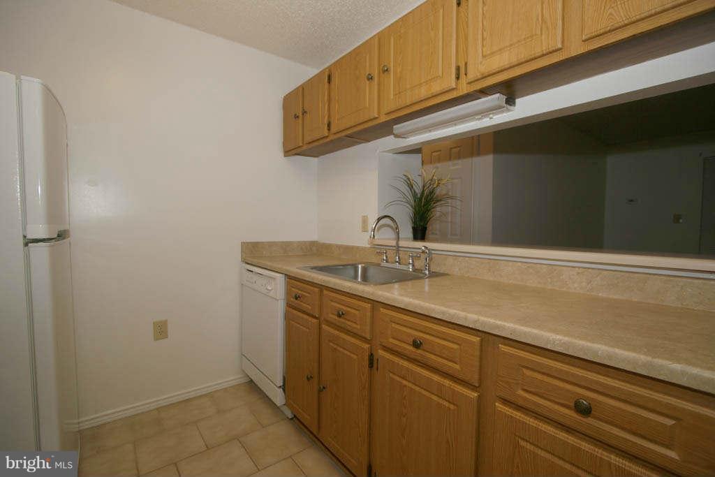 21013 Timber Ridge Terrace, Unit 203 Ashburn, VA 20147 - Photo 8 of 24 Kitchen
