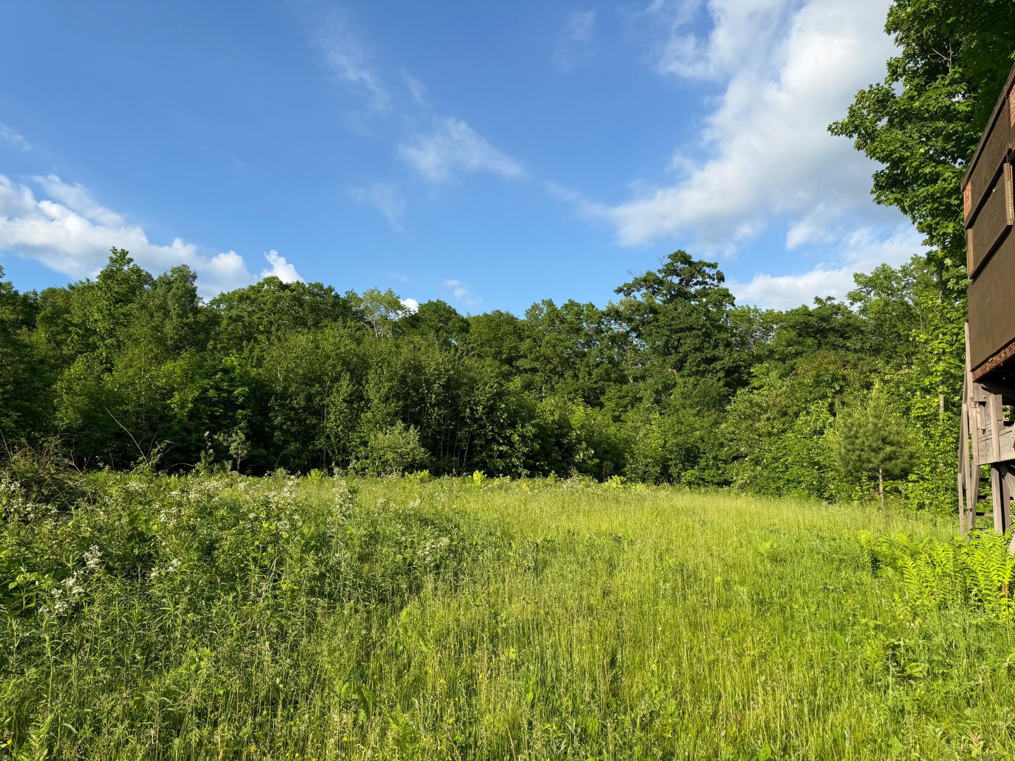 Tbd Shady Lane Trego, WI 54888 - Photo 1 of 26