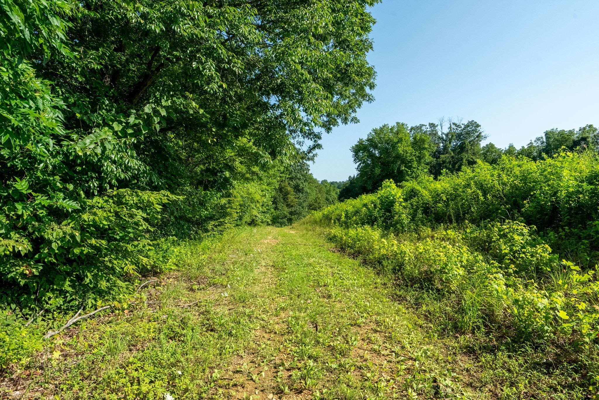 6050 New Cut Road Greenbrier, TN 37073 - Photo 11 of 61