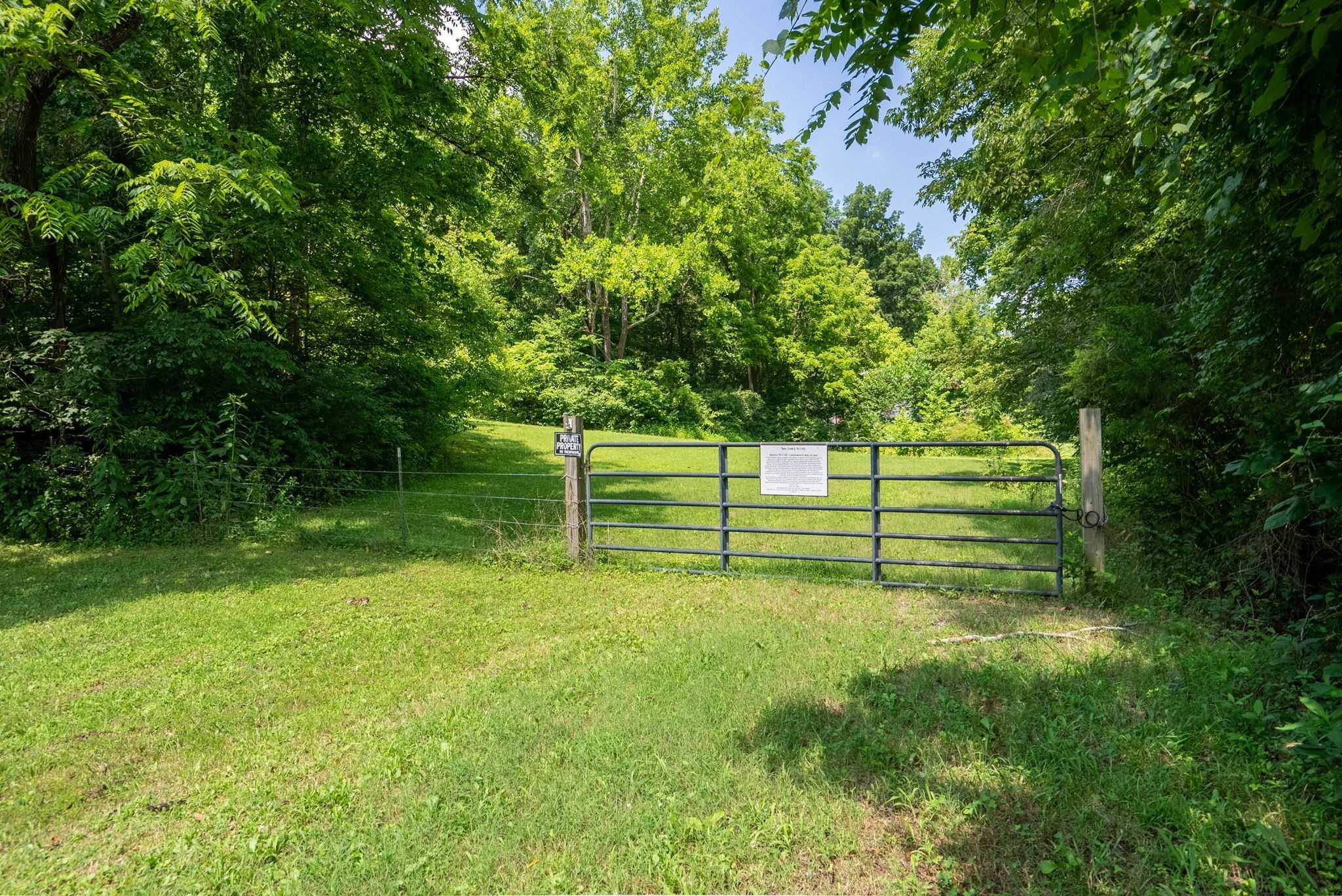 6050 New Cut Road Greenbrier, TN 37073 - Photo 13 of 61