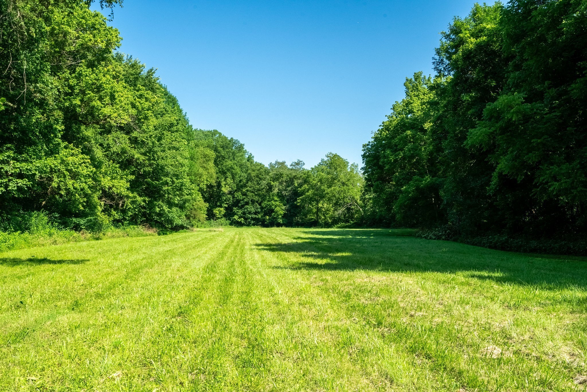 6050 New Cut Road Greenbrier, TN 37073 - Photo 15 of 61