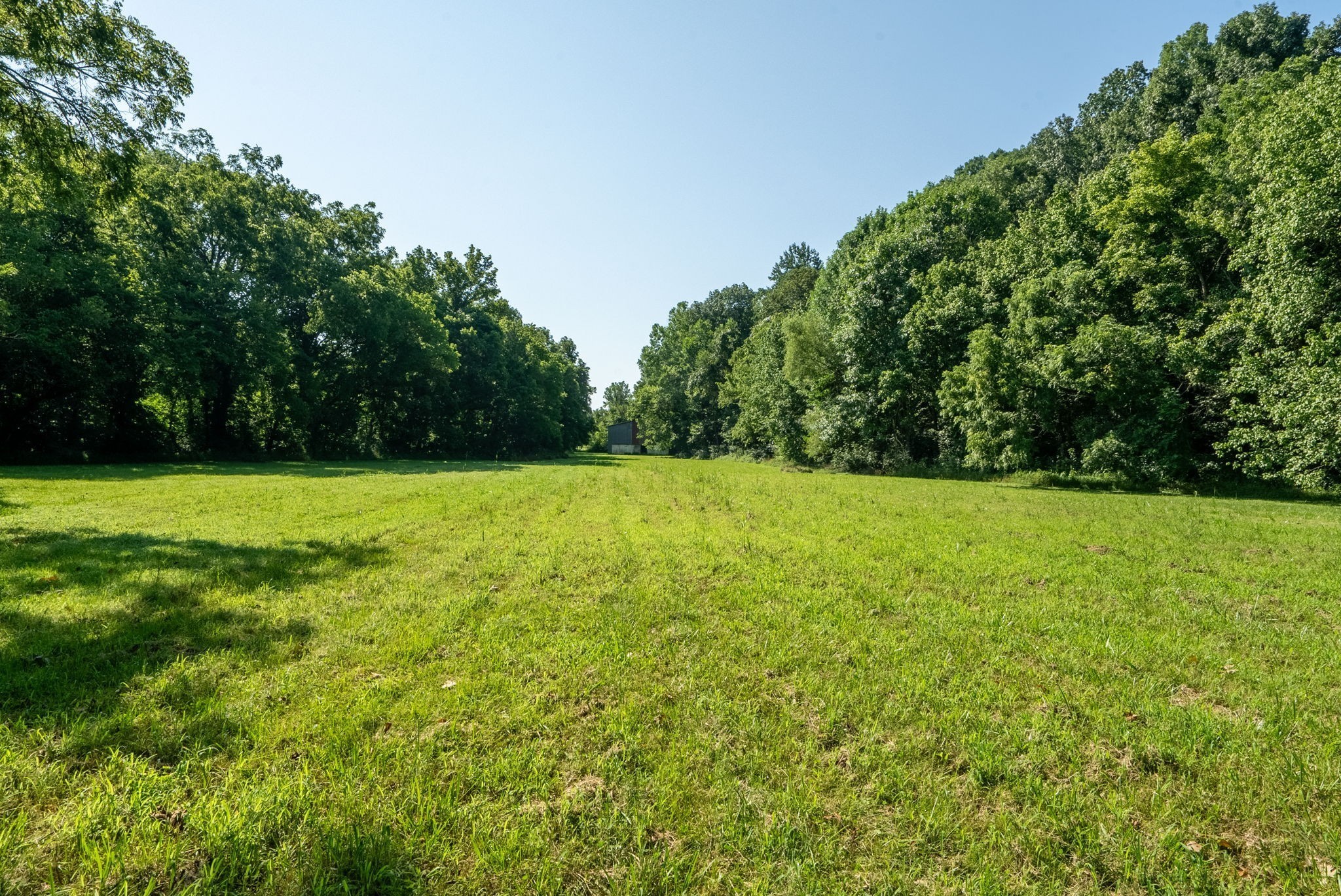 6050 New Cut Road Greenbrier, TN 37073 - Photo 16 of 61