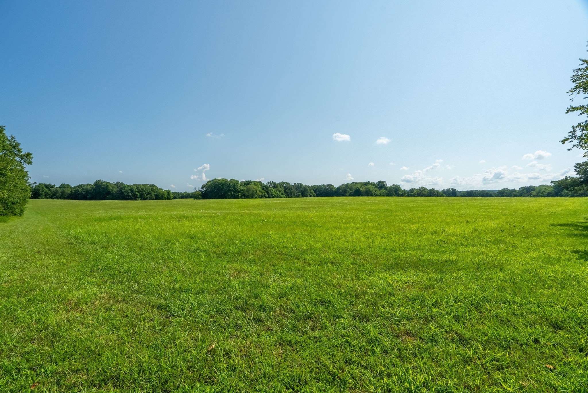 6050 New Cut Road Greenbrier, TN 37073 - Photo 18 of 61