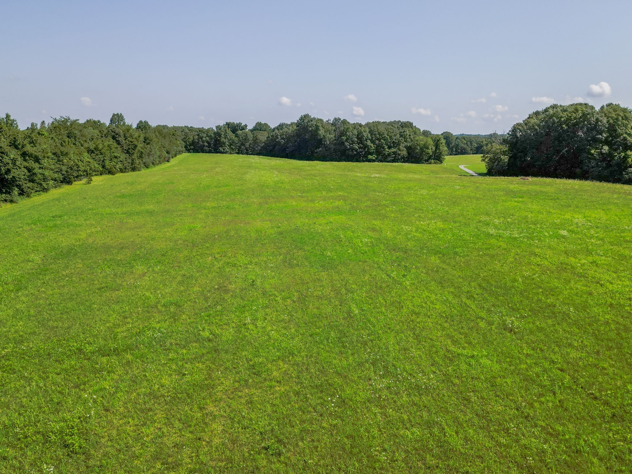 6050 New Cut Road Greenbrier, TN 37073 - Photo 20 of 61