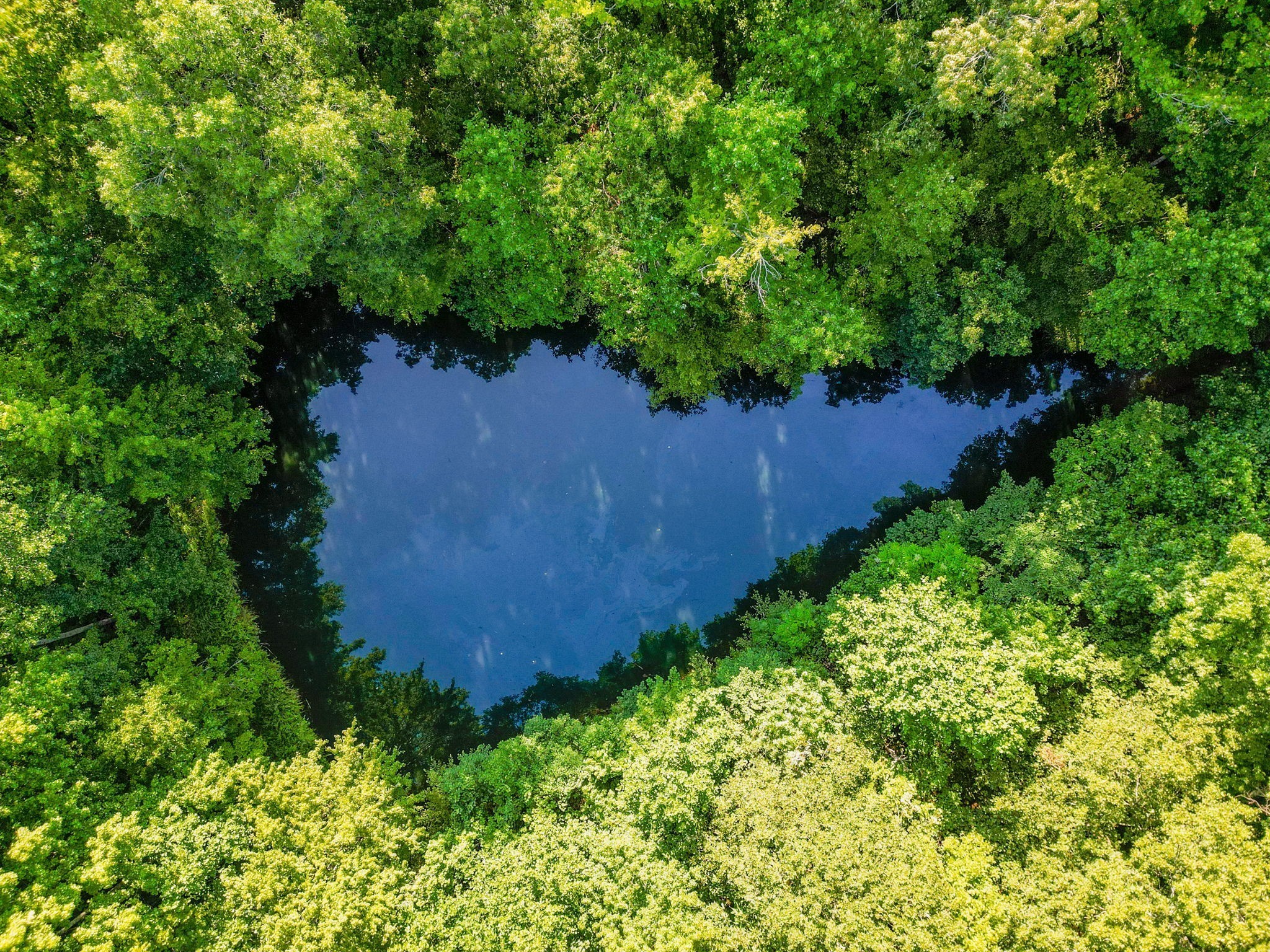 6050 New Cut Road Greenbrier, TN 37073 - Photo 26 of 61