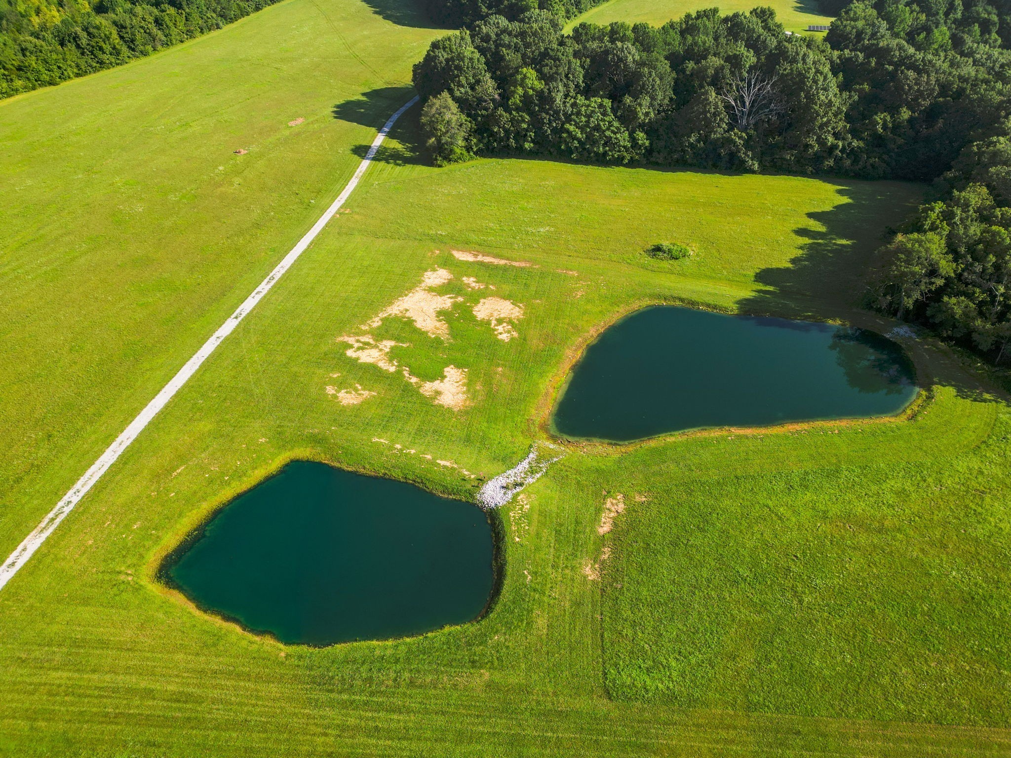 6050 New Cut Road Greenbrier, TN 37073 - Photo 29 of 61