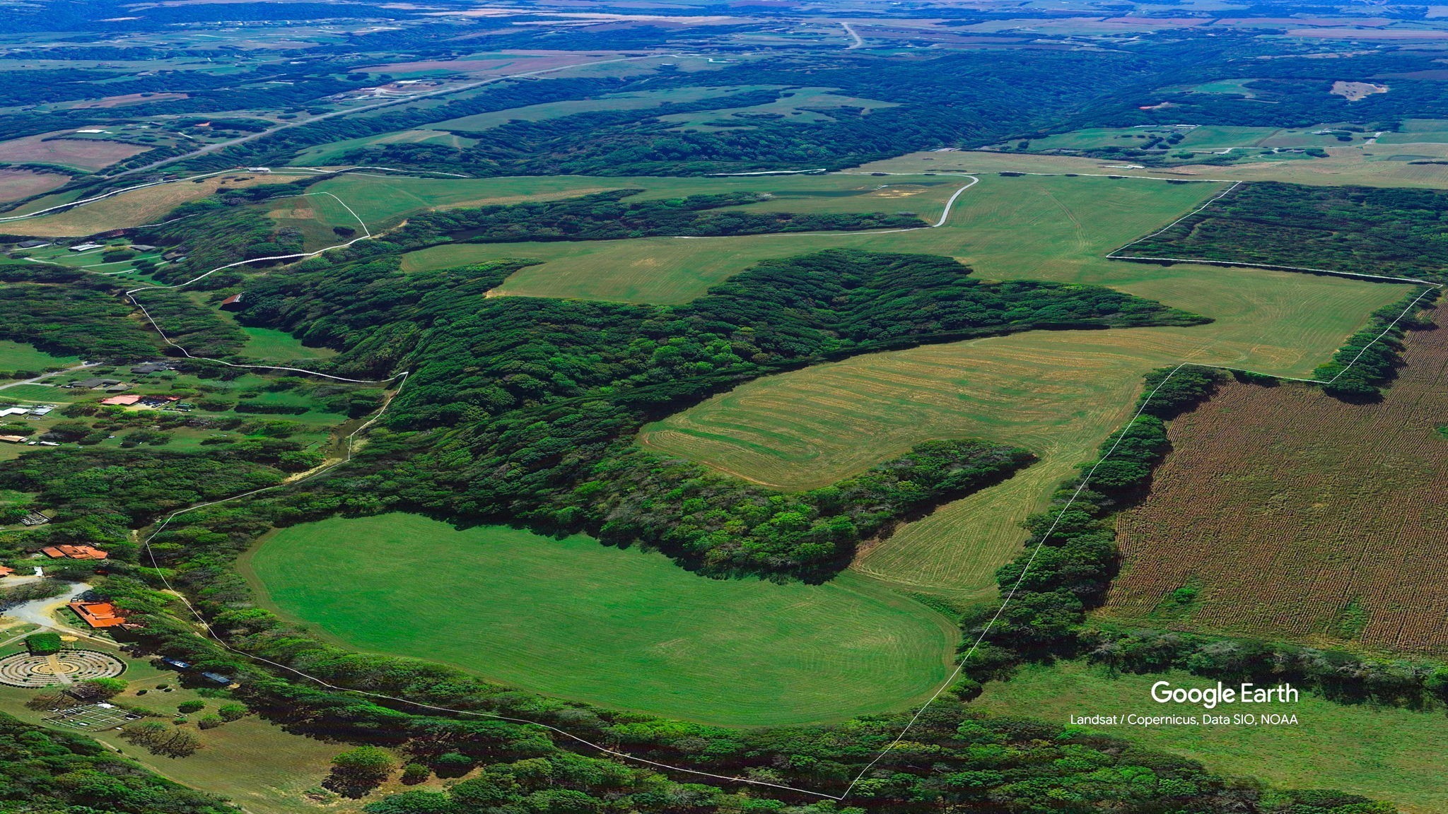6050 New Cut Road Greenbrier, TN 37073 - Photo 3 of 61