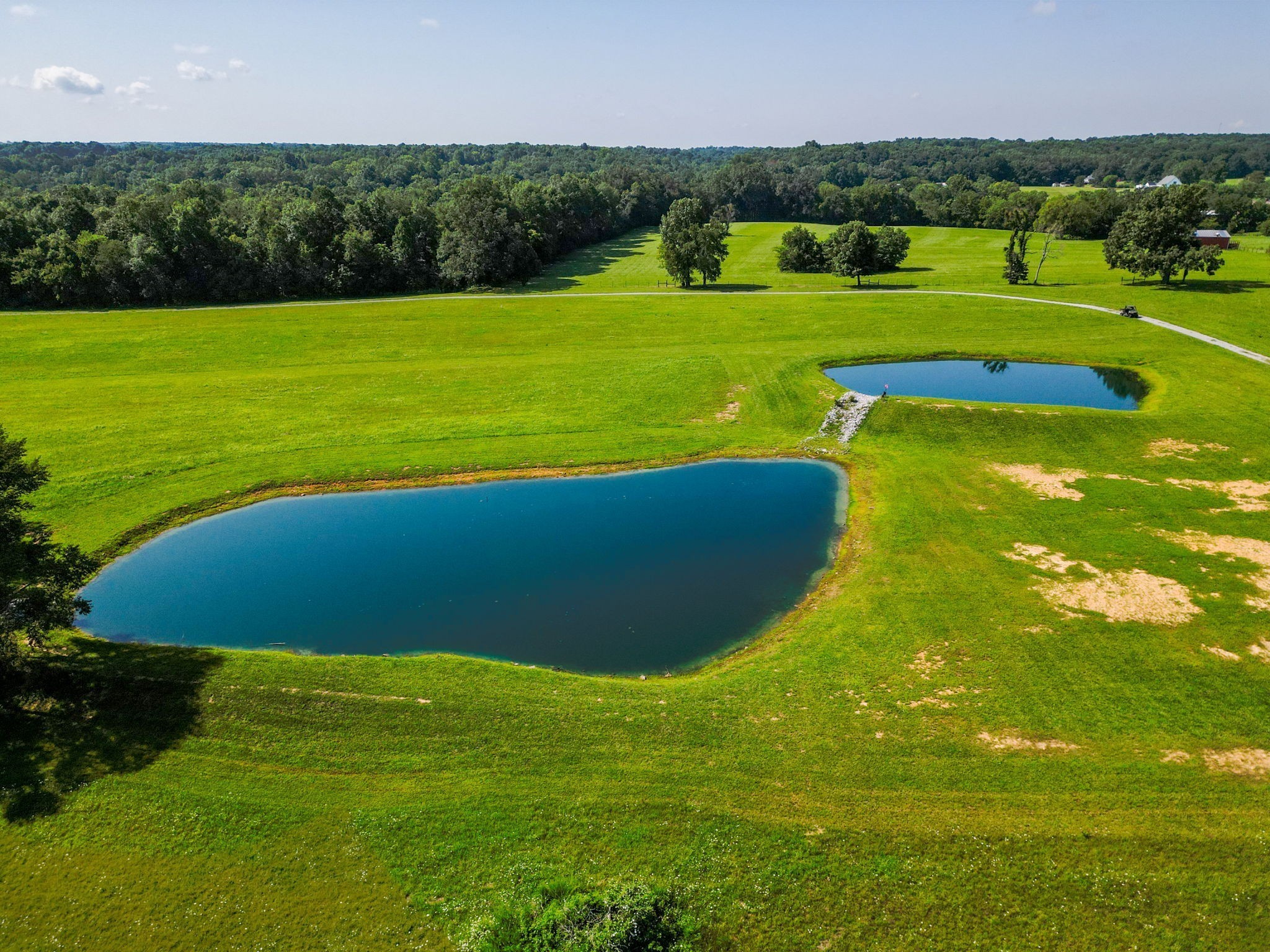 6050 New Cut Road Greenbrier, TN 37073 - Photo 32 of 61