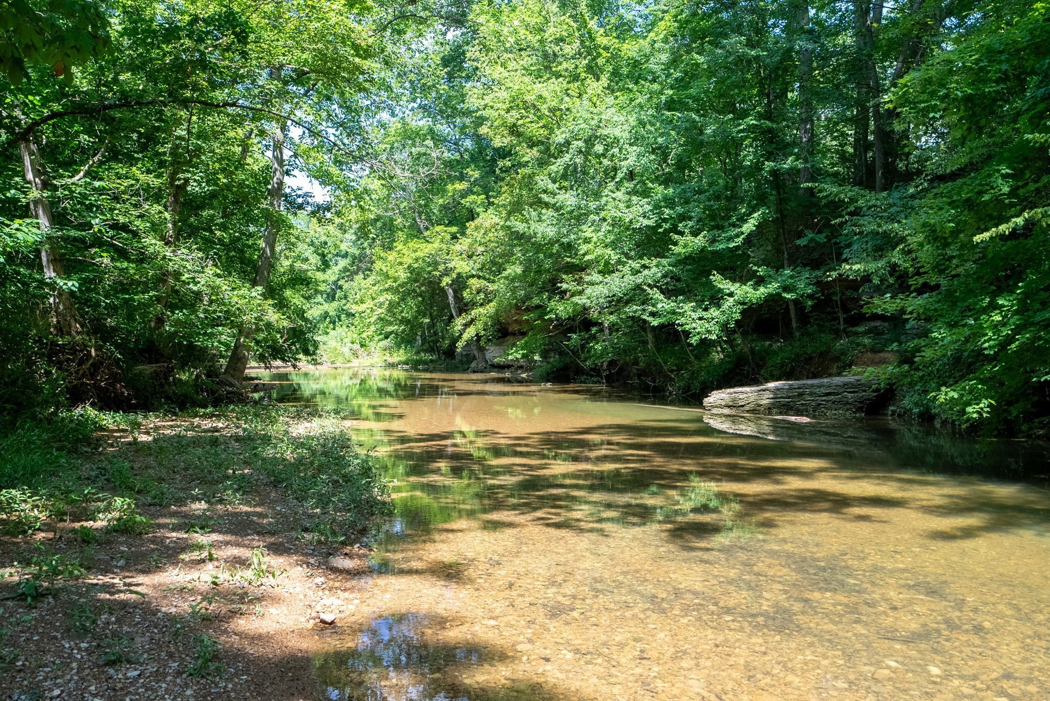 6050 New Cut Road Greenbrier, TN 37073 - Photo 4 of 61