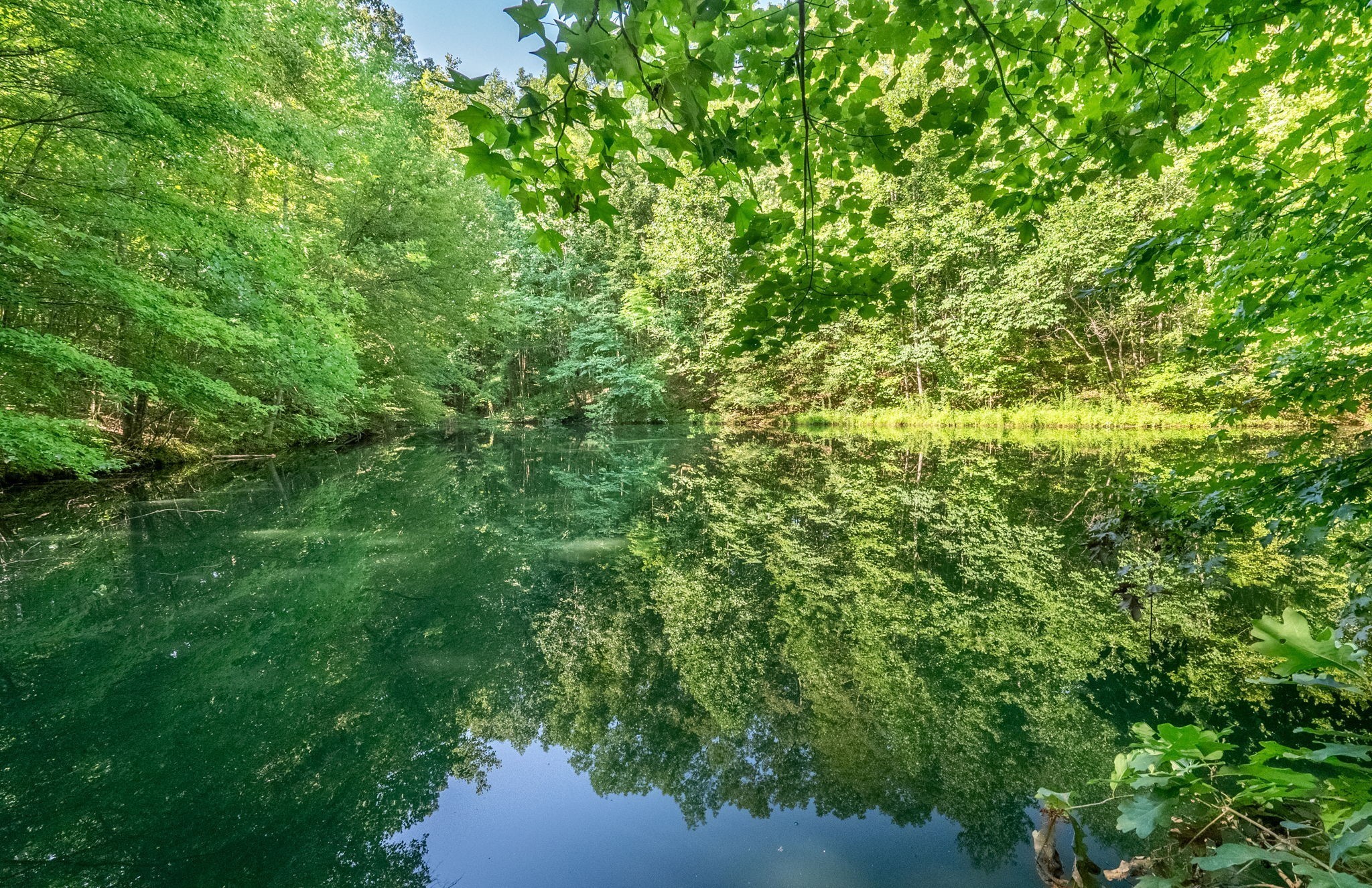 6050 New Cut Road Greenbrier, TN 37073 - Photo 5 of 61