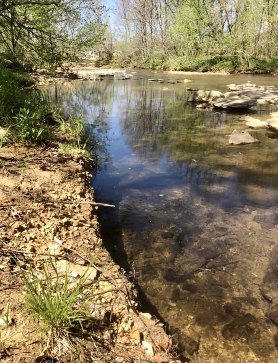 6050 New Cut Road Greenbrier, TN 37073 - Photo 51 of 61