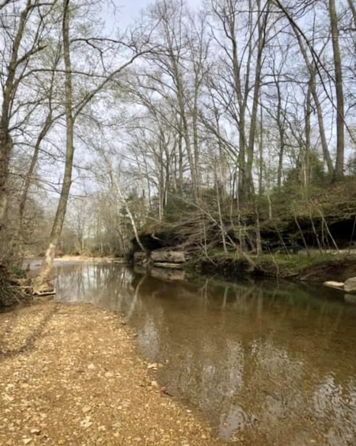 6050 New Cut Road Greenbrier, TN 37073 - Photo 52 of 61