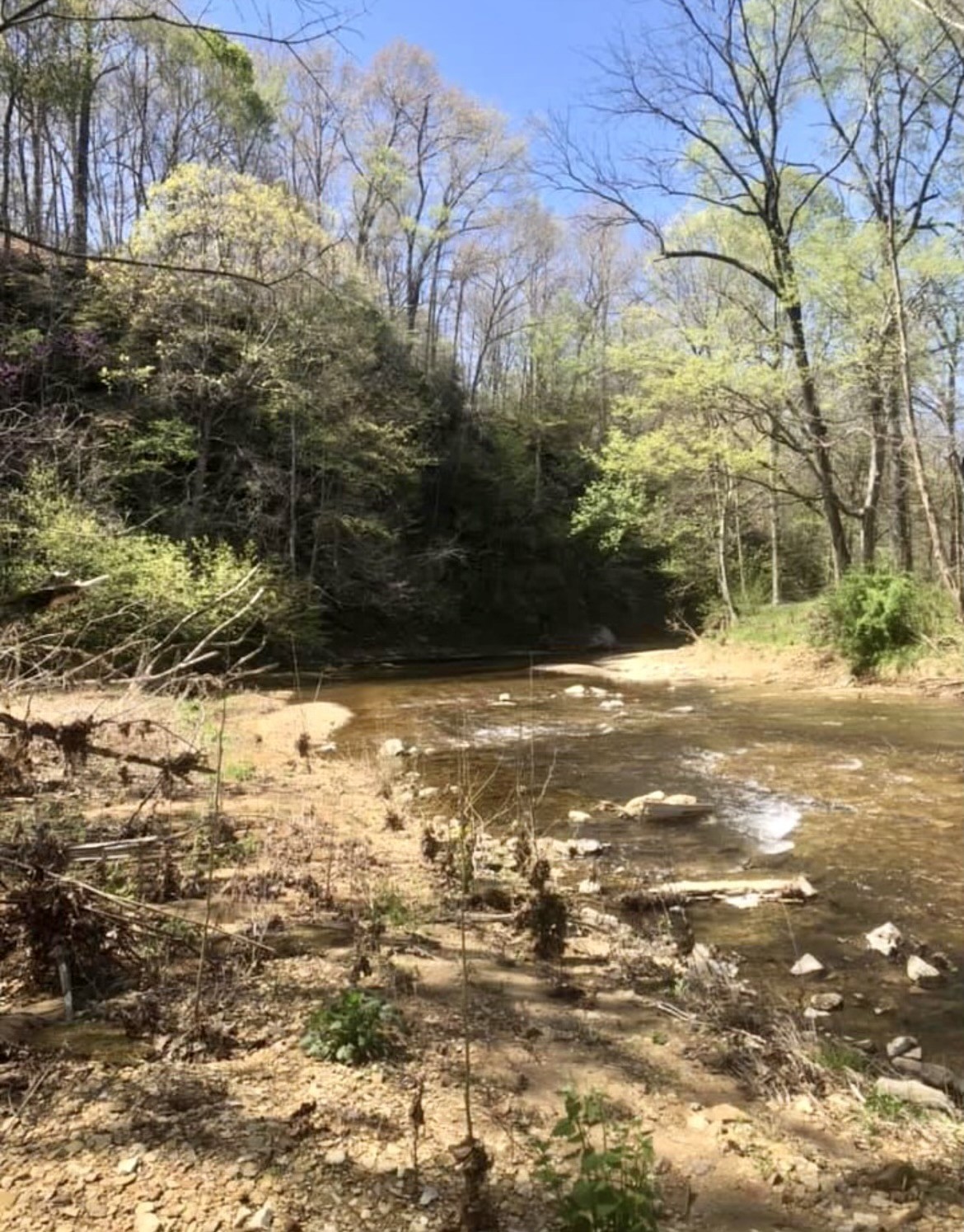6050 New Cut Road Greenbrier, TN 37073 - Photo 53 of 61