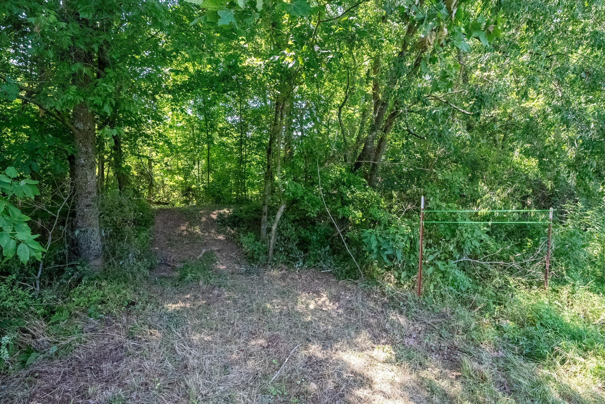 6050 New Cut Road Greenbrier, TN 37073 - Photo 59 of 61