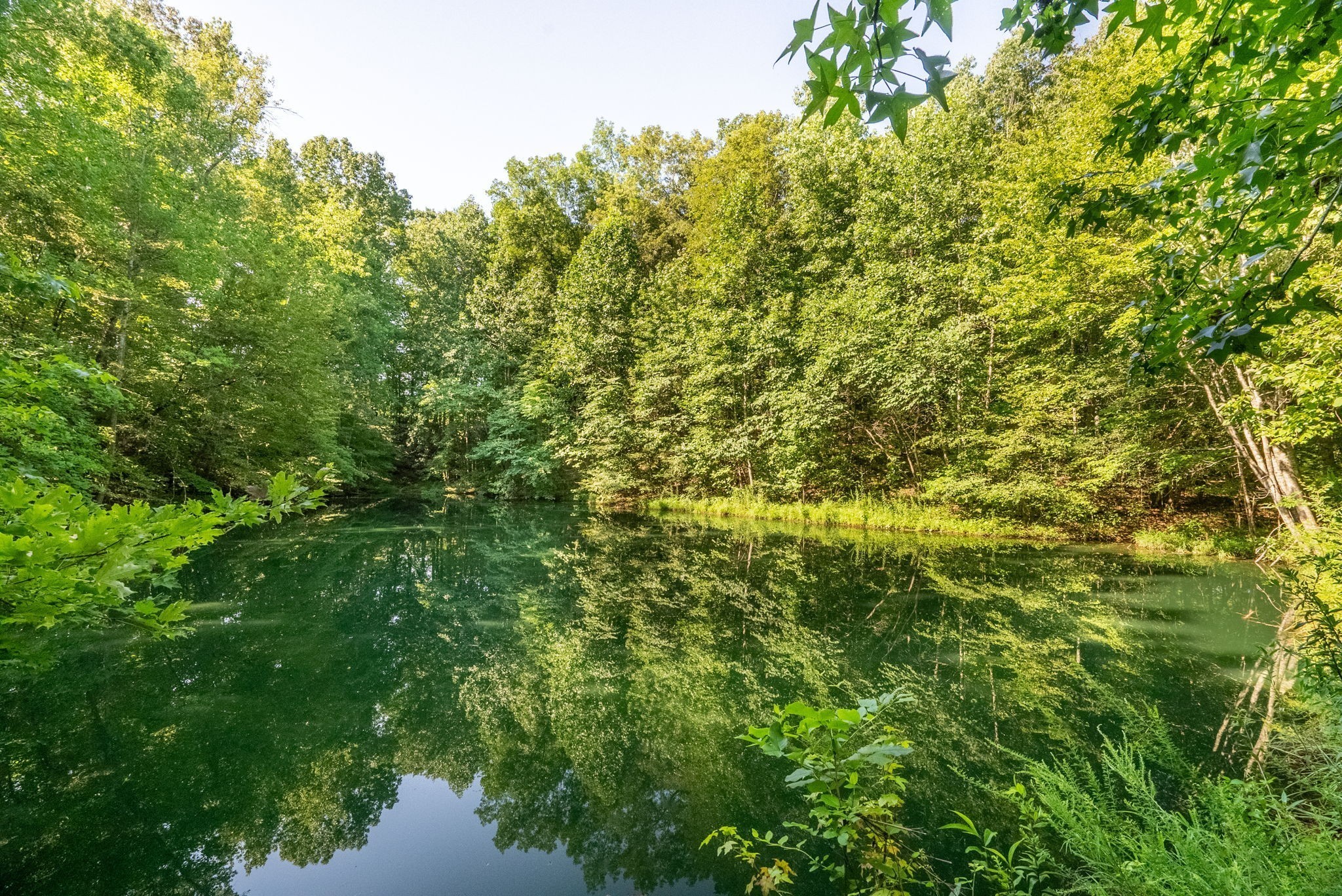 6050 New Cut Road Greenbrier, TN 37073 - Photo 6 of 61