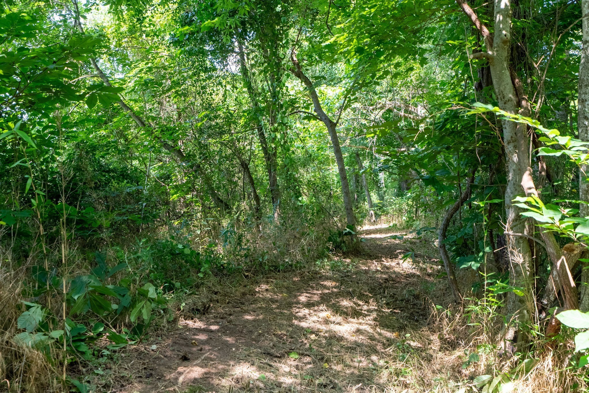 6050 New Cut Road Greenbrier, TN 37073 - Photo 7 of 61