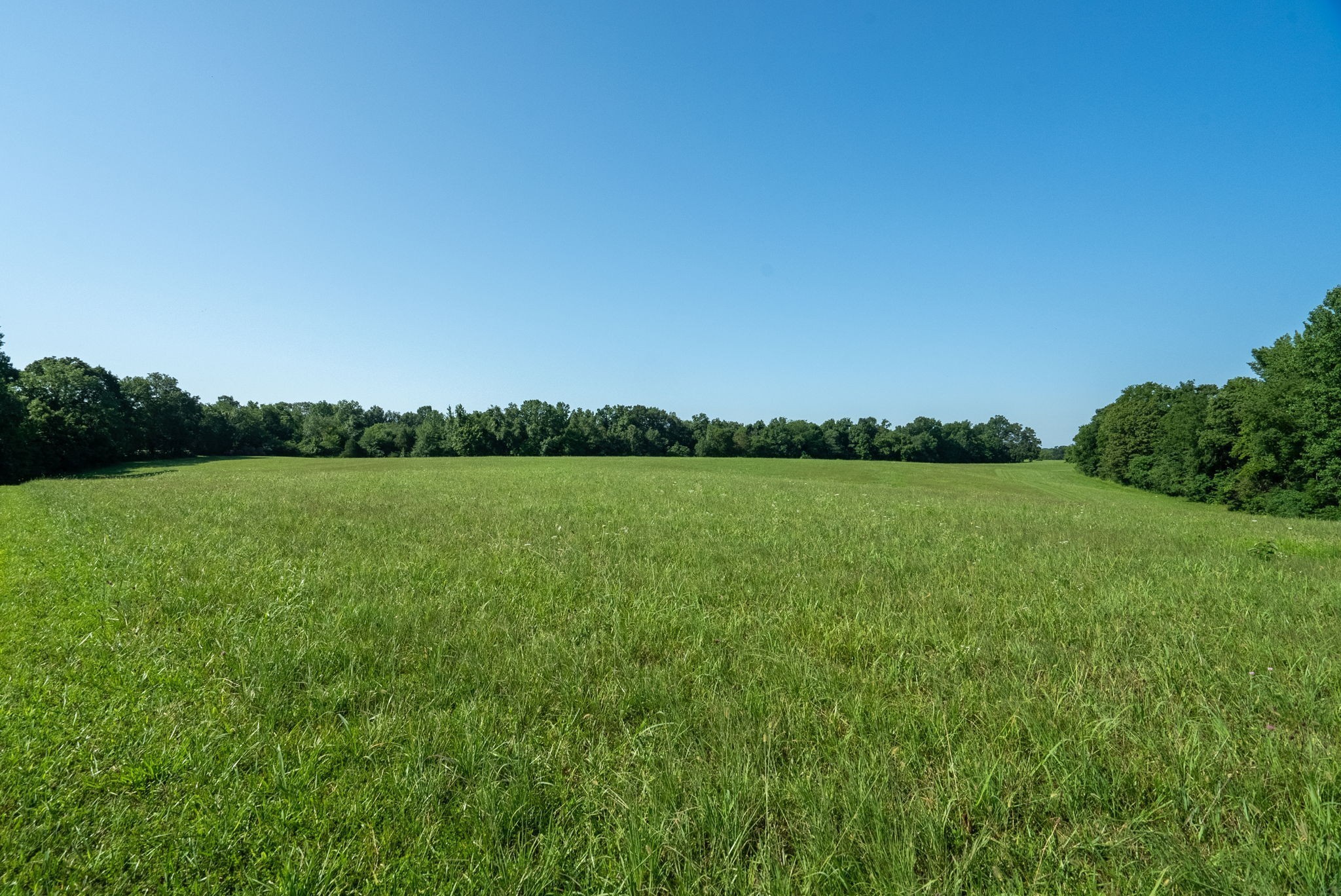 6050 New Cut Road Greenbrier, TN 37073 - Photo 10 of 61