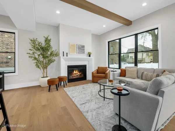 a living room with furniture a fireplace and a potted plant