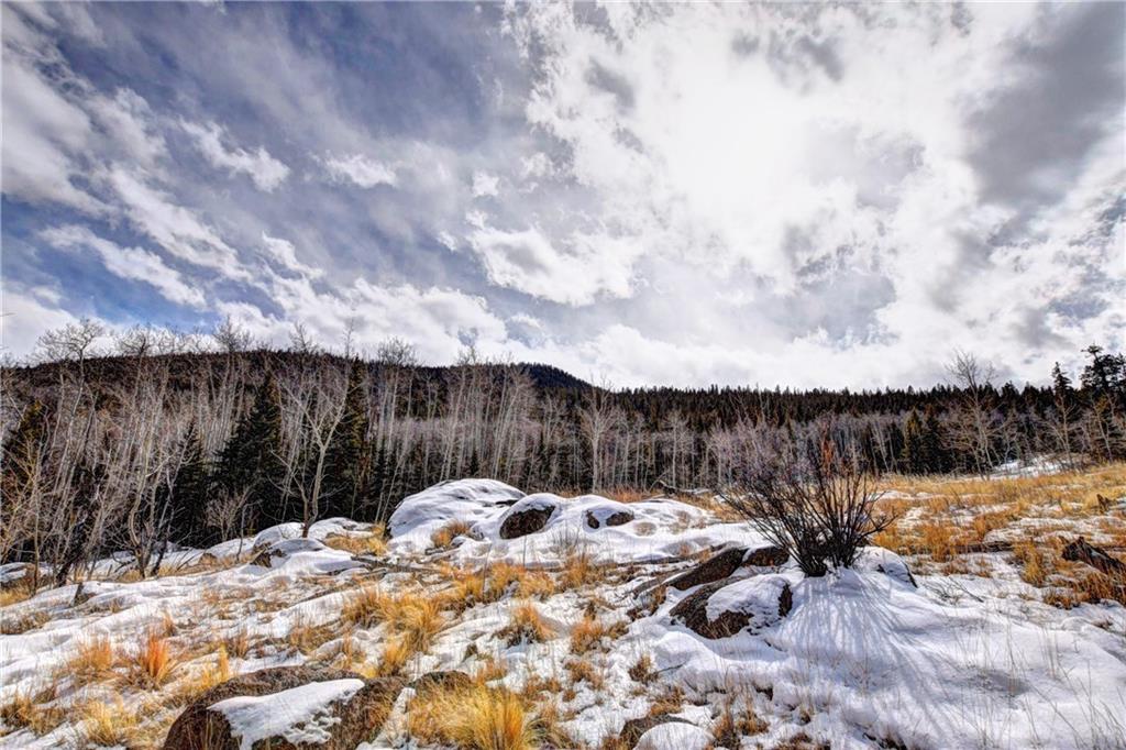 531 Nez Perce Road Como, CO 80456 - Photo 12 of 13 Gallery Image 12
