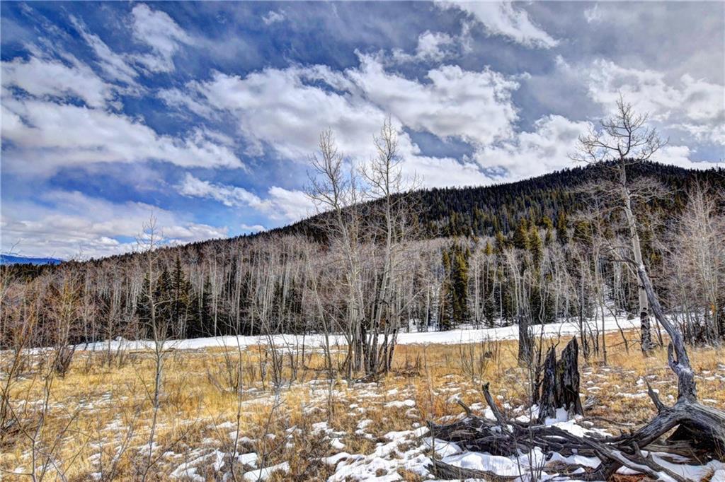 531 Nez Perce Road Como, CO 80456 - Photo 3 of 13 Gallery Image 3