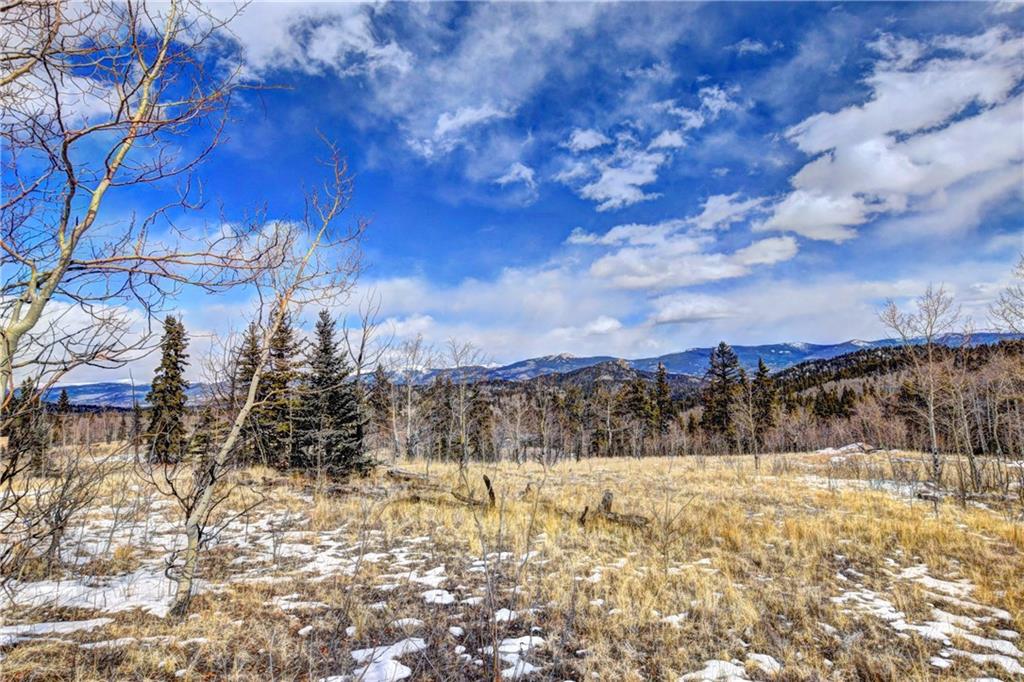 531 Nez Perce Road Como, CO 80456 - Photo 4 of 13 Gallery Image 4