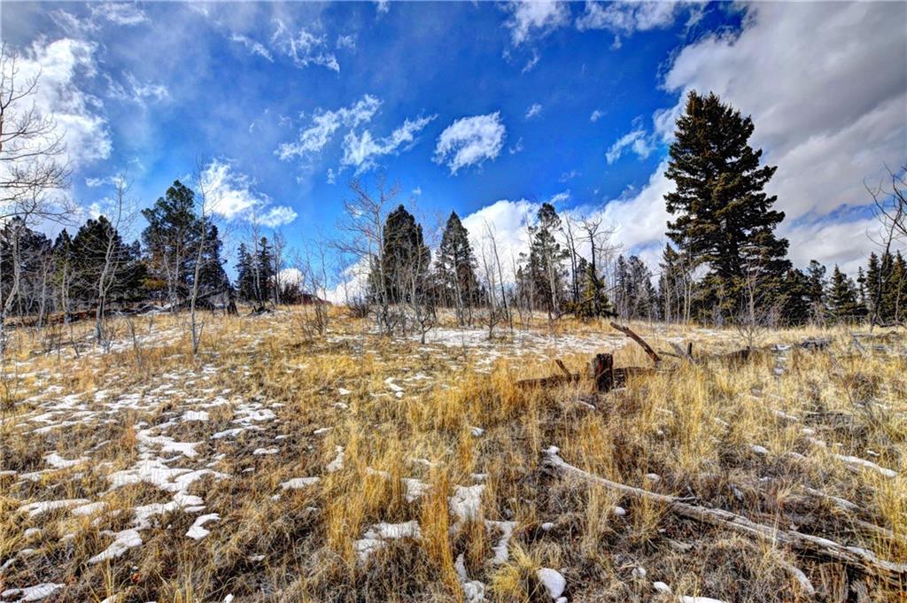 531 Nez Perce Road Como, CO 80456 - Photo 5 of 13 Gallery Image 5