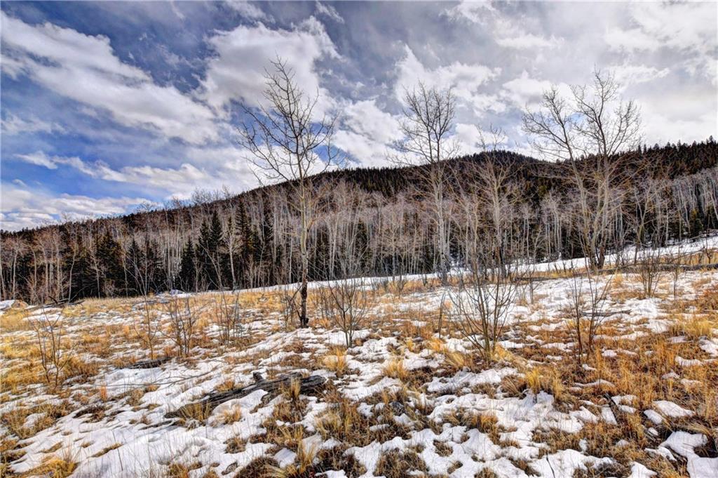 531 Nez Perce Road Como, CO 80456 - Photo 6 of 13 Gallery Image 6