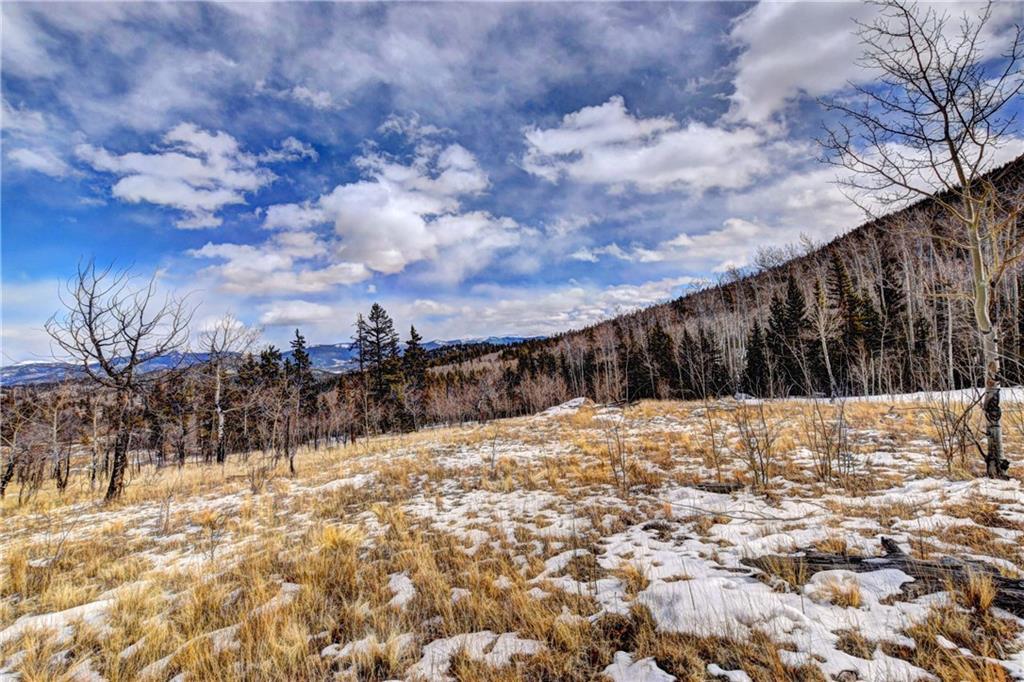 531 Nez Perce Road Como, CO 80456 - Photo 7 of 13 Gallery Image 7