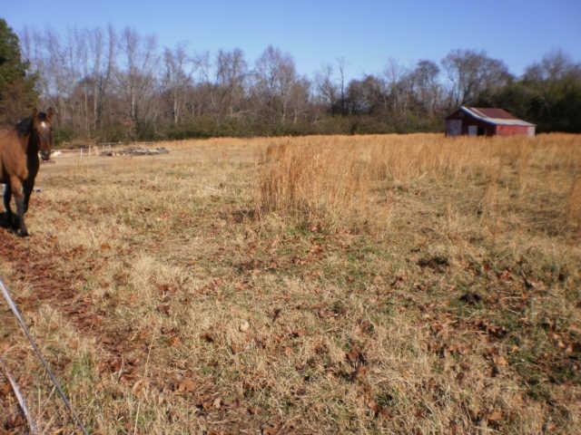 2149 Neelys Bend Road Madison, TN 37115 - Photo 5 of 8 Gallery Image 5