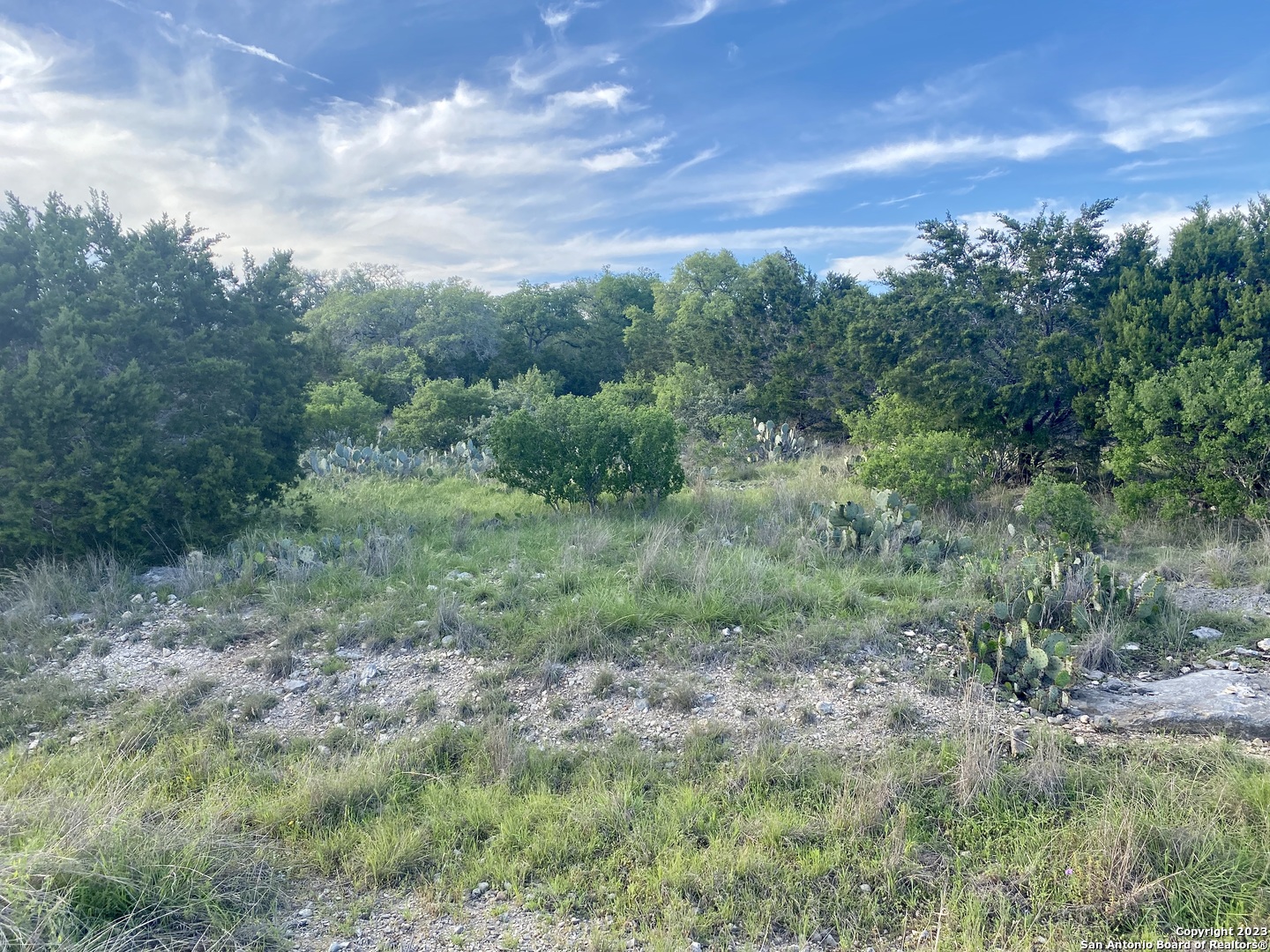 a view of a field of grass and trees