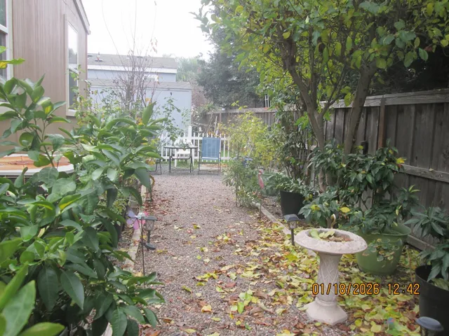 a view of a backyard with fountain plants