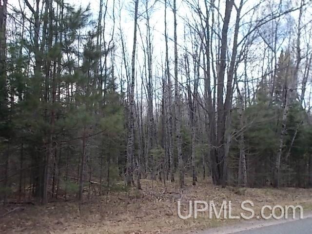 T-wi North Lake Road Florence, WI 54121 - Photo 1 of 6