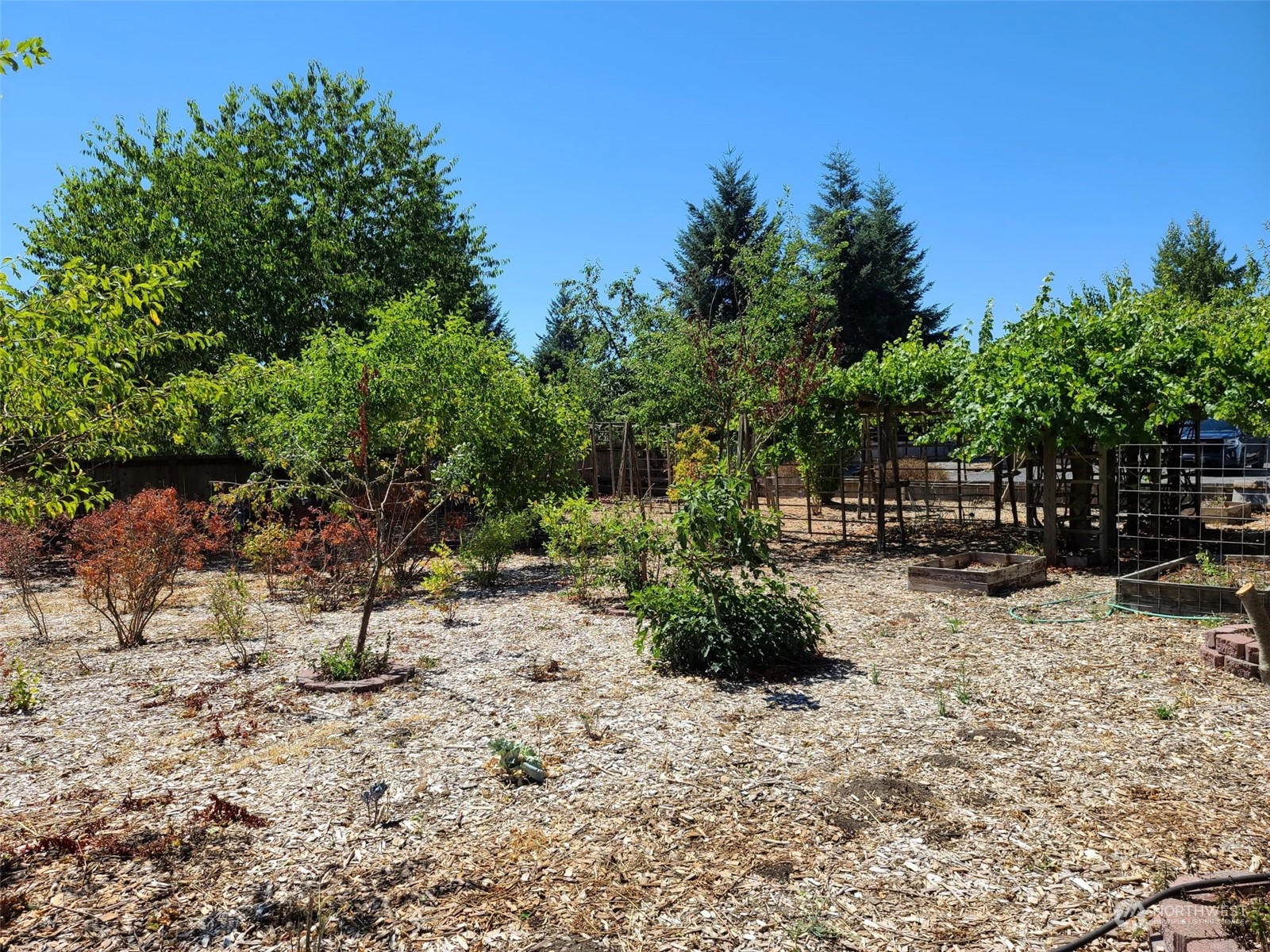 17840 Scatter Lane Southwest Rochester, WA 98579 - Photo 8 of 38