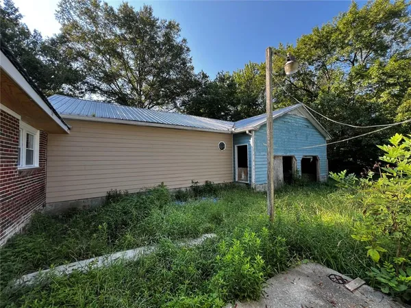 a backyard of a house with plants and large tree